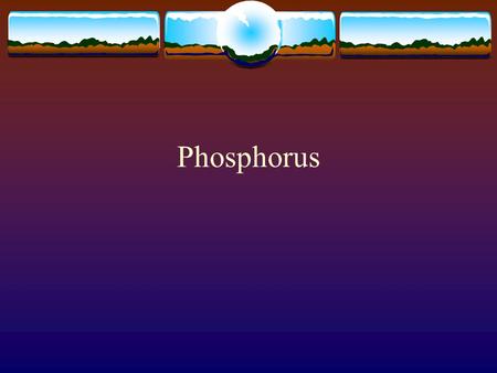 Phosphorus. Biogeochemical Cycle  cycle.jpg.