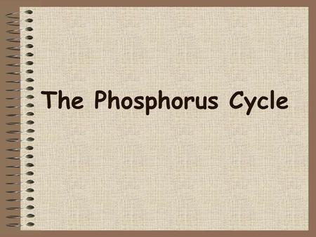 The Phosphorus Cycle.
