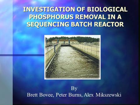 INVESTIGATION OF BIOLOGICAL PHOSPHORUS REMOVAL IN A SEQUENCING BATCH REACTOR INVESTIGATION OF BIOLOGICAL PHOSPHORUS REMOVAL IN A SEQUENCING BATCH REACTOR.
