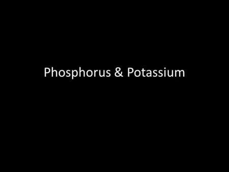 Phosphorus & Potassium. Roles of Phosphorus: 1. Essential for plant growth 2. Plays a role in photosynthesis, respiration, energy storage and transfer,