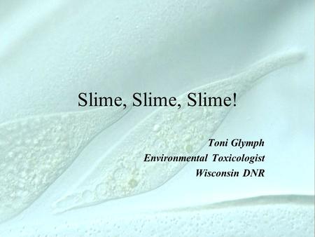 Toni Glymph Environmental Toxicologist Wisconsin DNR Slime, Slime, Slime!