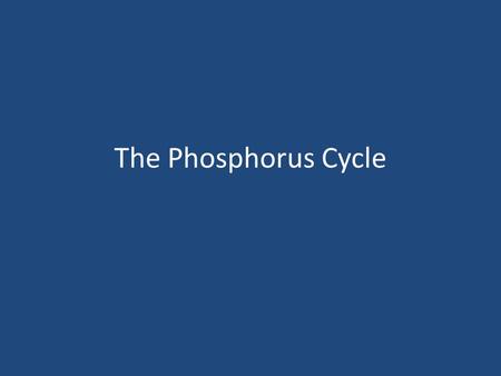 The Phosphorus Cycle.
