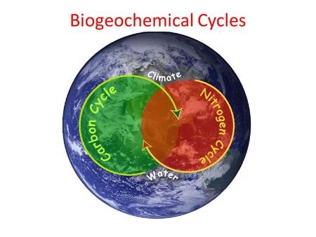 Biogeochemical Cycles Defined: Movement of water through the atmosphere 75% of the earth is water 99% of water undrinkable (salty & frozen) Water recycles.