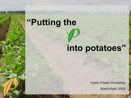 Hydro Potato Workshop March/April 2003 into potatoes” “Putting the.