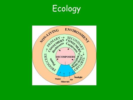 Ecology The study of interactions between organisms & their environment.