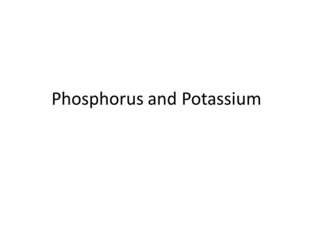 Phosphorus and Potassium. How is P managed? Key to managing soil and fertilizer P: Knowledge of whether or not the level of soil solution P is adequate.