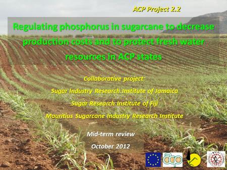 ACP Project 2.2 Regulating phosphorus in sugarcane to decrease production costs and to protect fresh water resources in ACP states Collaborative project: