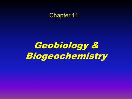 Geobiology & Biogeochemistry