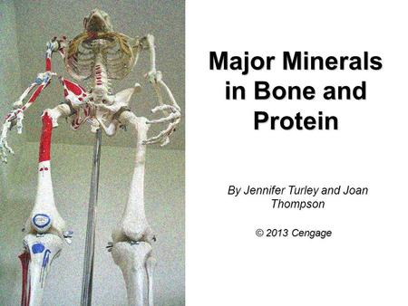 Major Minerals in Bone and Protein By Jennifer Turley and Joan Thompson © 2013 Cengage.
