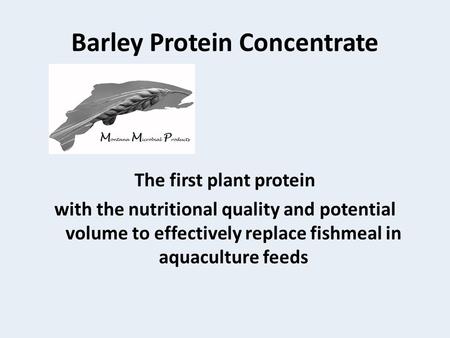 Barley Protein Concentrate The first plant protein with the nutritional quality and potential volume to effectively replace fishmeal in aquaculture feeds.