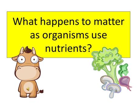 What happens to matter as organisms use nutrients?