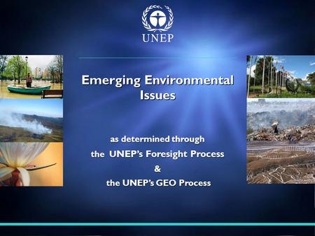 As determined through the U NEP’s Foresight Process & the UNEP’s GEO Process the UNEP’s GEO Process Emerging Environmental Issues.