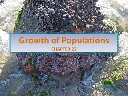 Growth of Populations CHAPTER 22. How Many Organisms Live in a Particular Environment, and Why? Population ecology is the study of the number of organisms.