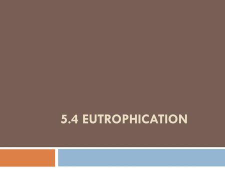 5.4 EUTROPHICATION. What words can you come up with that start with “eu”