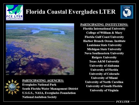 PARTICIPATING INSTITUTIONS: Florida International University College of William & Mary Florida Gulf Coast University Harbor Branch Ocean. Institute Louisiana.