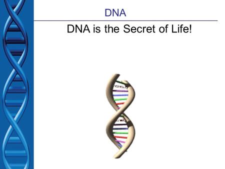 DNA DNA is the Secret of Life!. Student goals The student will explain the functions of DNA identify the components of a DNA molecule summarize the events.