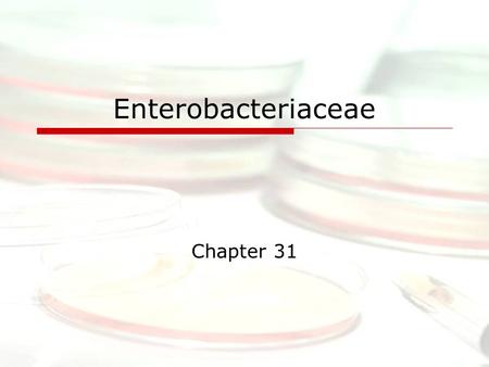 Enterobacteriaceae Chapter 31. Introduction  “Enteric Bacteria”  Gram-negative rods  Ubiquitous  Cause 30%-35% of all septicemias, more than 70% of.