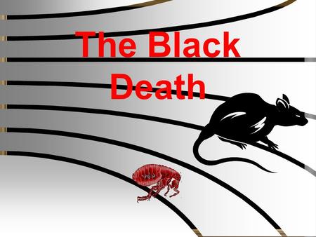 The Black Death Key questions There are 3 questions that will be asked during the course of the lesson; 1.What is the “Black Death”? 2.What caused the.