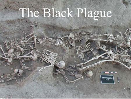 The Black Plague.