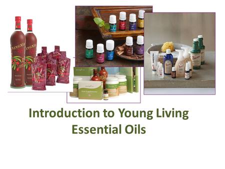 Introduction to Young Living Essential Oils. Why Young Living We believe there is a better way to get and stay healthy and every human and animal in the.