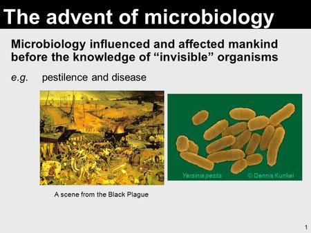 1 The advent of microbiology Microbiology influenced and affected mankind before the knowledge of “invisible” organisms e.g. pestilence and disease A scene.