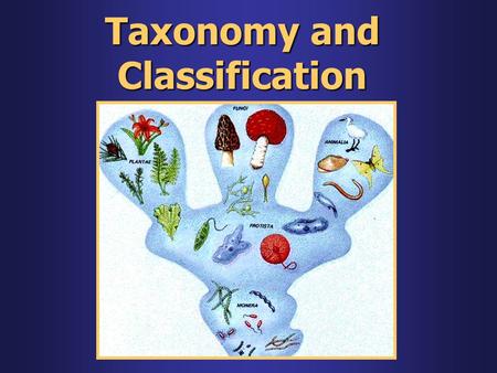 Taxonomy and Classification