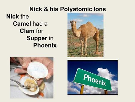 Nick & his Polyatomic Ions