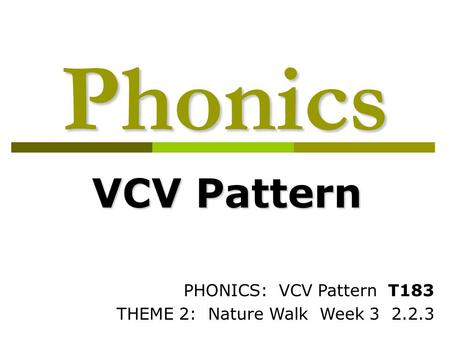 Phonics VCV Pattern PHONICS: VCV Pattern T183