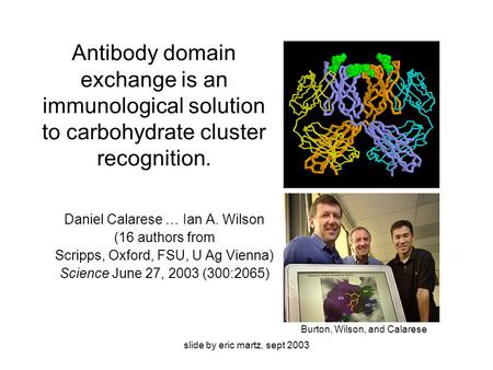 Slide by eric martz, sept 2003 Antibody domain exchange is an immunological solution to carbohydrate cluster recognition. Daniel Calarese … Ian A. Wilson.