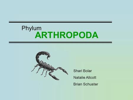 ARTHROPODA Phylum Shari Bolar Natalie Allcott Brian Schuster.