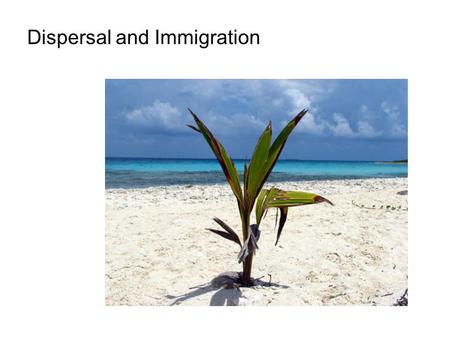 Dispersal and Immigration. There are several fundamental processes in biogeography: Evolution Speciation Extinction Dispersal These are the processes.