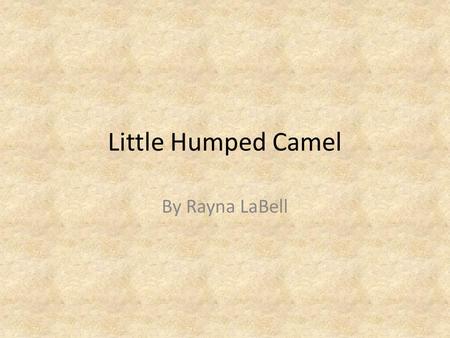 Little Humped Camel By Rayna LaBell. Once upon a time there was a camel called “Little Humped Camel”. He was going to his grandmother’s house when he.