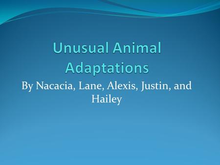 By Nacacia, Lane, Alexis, Justin, and Hailey Introduction On these slides you will see adaptations of animals. Some use camouflage, webbed feet, skin.