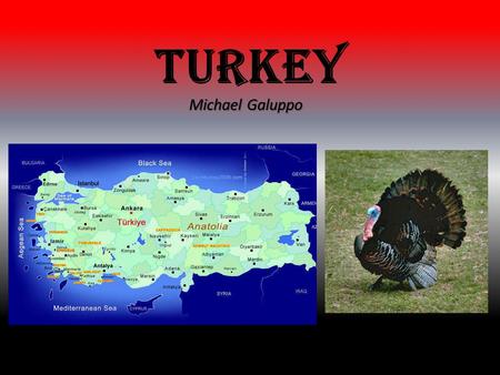 Turkey Michael Galuppo. The Land The borderland of Turkey is separated into three main areas. The Black Sea region, the Aegean region, and the Mediterranean.