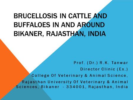 BRUCELLOSIS IN CATTLE AND BUFFALOES IN AND AROUND BIKANER, RAJASTHAN, INDIA Prof. (Dr.) R.K. Tanwar Director Clinic (Ex.) College Of Veterinary & Animal.