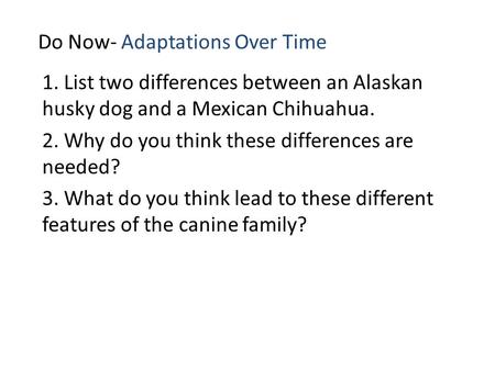 Do Now- Adaptations Over Time 1. List two differences between an Alaskan husky dog and a Mexican Chihuahua. 2. Why do you think these differences are needed?
