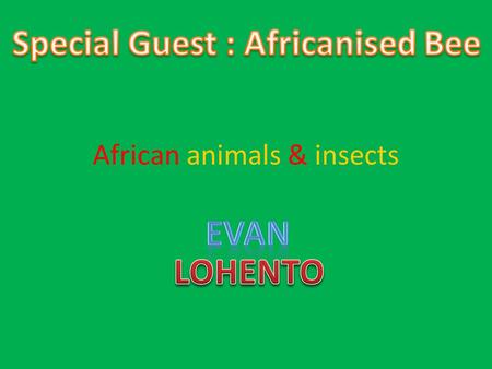 African animals & insects Animals with two paws & four paws or hooves or etc. Animals Lion Giraffe Rhinoceros Camel Jaguar Insects with six or more paws.