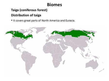 Biomes Taiga (coniferous forest) Distribution of taiga