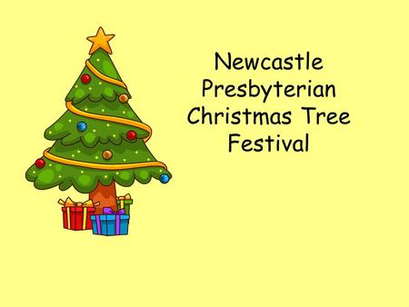 Newcastle Presbyterian Christmas Tree Festival. First we went to buy our very own tree at Hales!