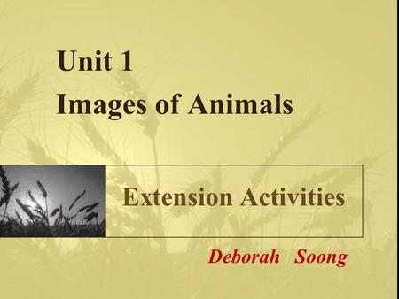 Unit 1 Images of Animals Deborah Soong Extension Activities.