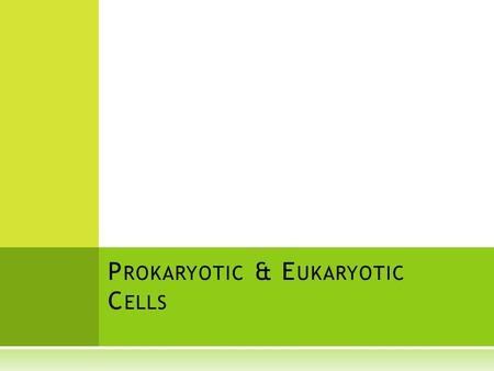 P ROKARYOTIC & E UKARYOTIC C ELLS.  As you have already learned, everything is made up of living cells.  And the cells themselves are made up of many.