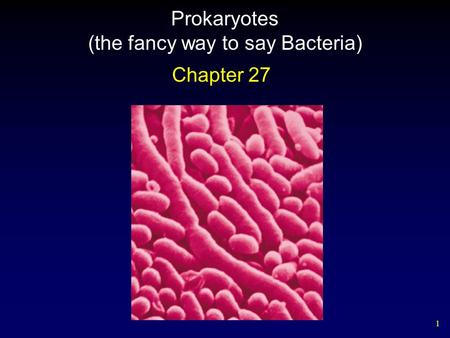 Prokaryotes (the fancy way to say Bacteria)
