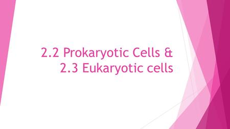 2.2 Prokaryotic Cells & 2.3 Eukaryotic cells