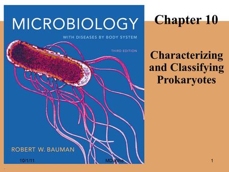 Characterizing and Classifying Prokaryotes