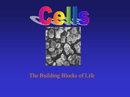 The Building Blocks of Life. Cells are Us A person contains about 100 trillion cells. That’s 100,000,000,000,000 or 1 x 10 14 cells. There are about 200.