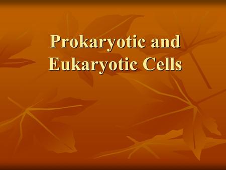 Prokaryotic and Eukaryotic Cells. Two Types Of Cells 1. PROKARYOTE 2. EUKARYOTE.