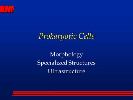 Prokaryotic Cells Morphology Specialized Structures Ultrastructure.