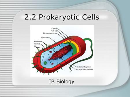 2.2 Prokaryotic Cells IB Biology. Prokaryotic Cells First organisms to evolve on Earth –3.5 billion years ago –cyanobacteria Simplest cell structure.