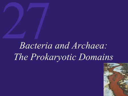 Bacteria and Archaea: The Prokaryotic Domains