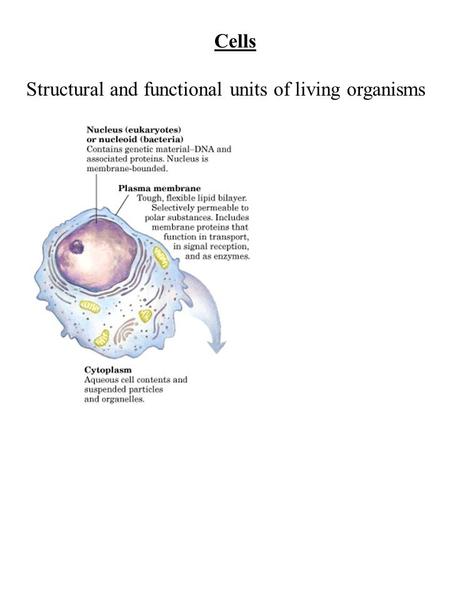 Cells Structural and functional units of living organisms.